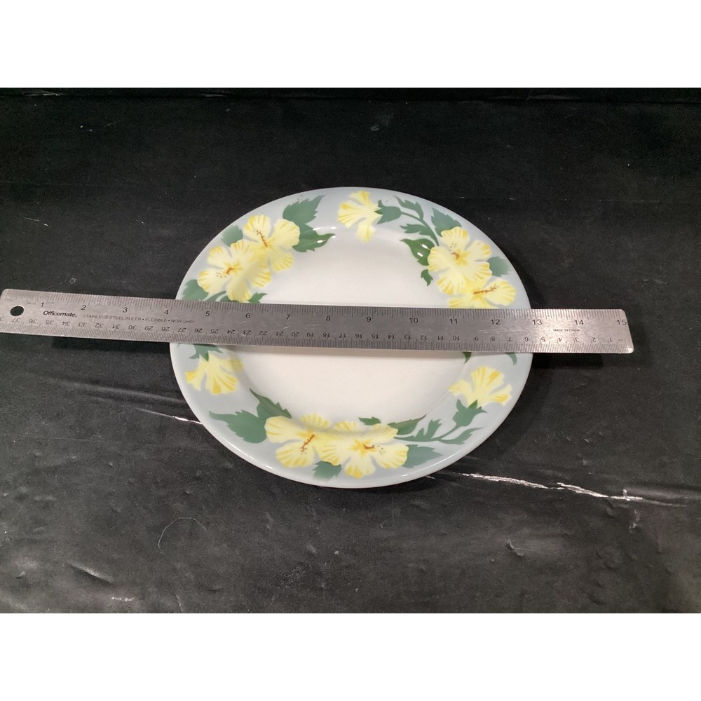 Vintage Jackson China Hibiscus Floral Dinner Plates Set of 2